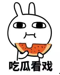 娱乐圈吃瓜系统沙雕动画,沙雕动画里的欢乐与泪点