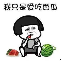 娱乐吃瓜酱是谁教你们
