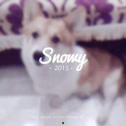 娱乐吃瓜少女喵